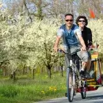 Samen op de fiets - Man en vrouw op tandem langs bloeiende bomen