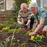Dementie - Ouder echtpaar plant samen zaadjes in de tuin die al vol vrolijke violen staat
