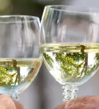 Zelfhulp Alcohol en ouderen - de glazen worden geproost 